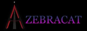 Zebracat