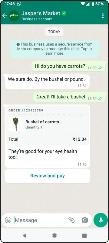 WhatsApp Payments